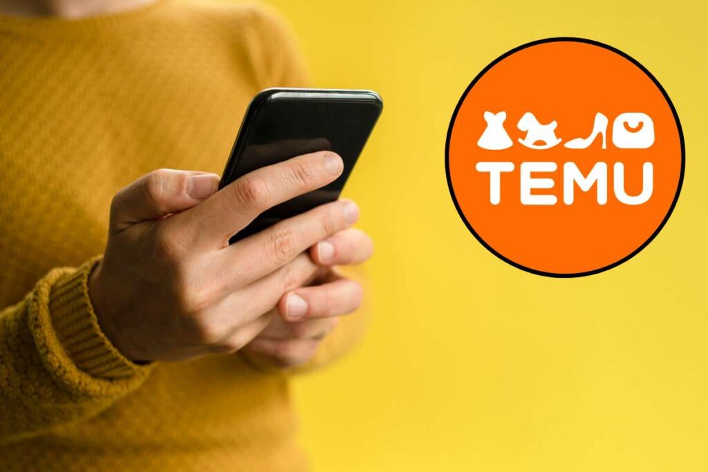 temu prezzi al raddoppio