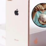 iPhone prezzi stracciati